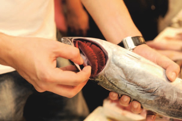 食材挑選、西班牙廚師、香料